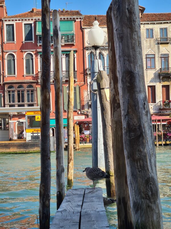 Venice view