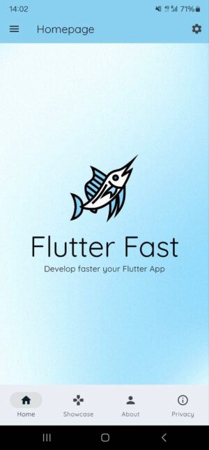 Flutter Fast - Develop faster your Flutter App - Image 3